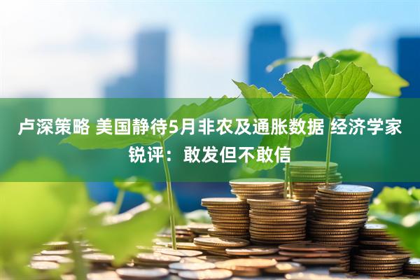卢深策略 美国静待5月非农及通胀数据 经济学家锐评：敢发但不敢信