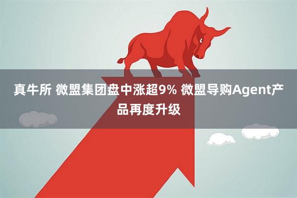 真牛所 微盟集团盘中涨超9% 微盟导购Agent产品再度升级