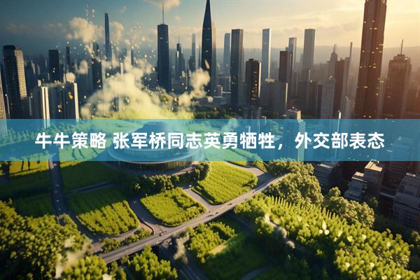 牛牛策略 张军桥同志英勇牺牲，外交部表态