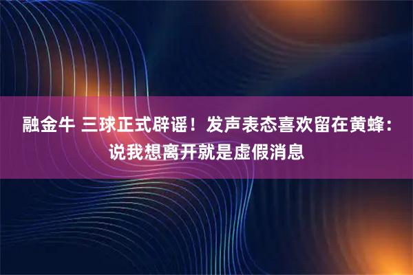 融金牛 三球正式辟谣！发声表态喜欢留在黄蜂：说我想离开就是虚假消息