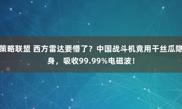 策略联盟 西方雷达要懵了？中国战斗机竟用干丝瓜隐身，吸收99.99%电磁波！