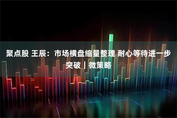 聚点股 王辰：市场横盘缩量整理 耐心等待进一步突破｜微策略