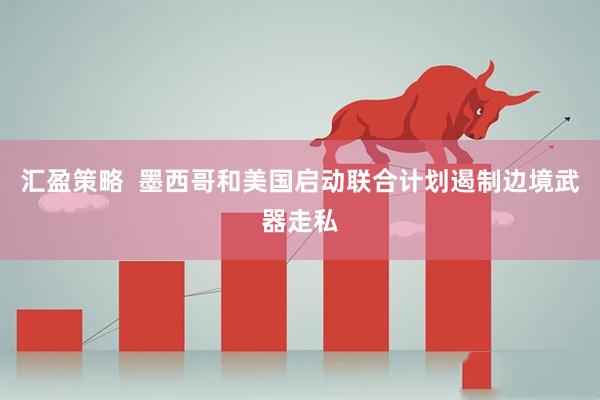 汇盈策略  墨西哥和美国启动联合计划遏制边境武器走私